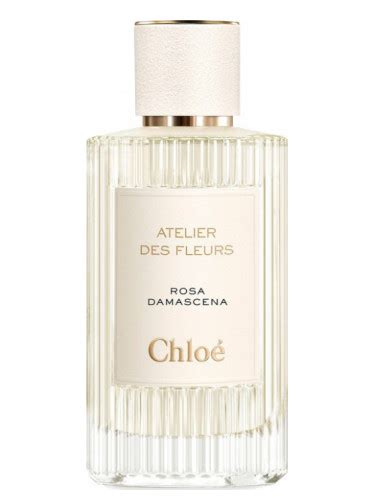 chloe rosa damascena|chloe rose petals perfume.